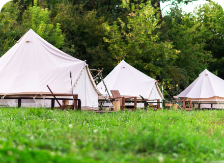 Three white tents in a field