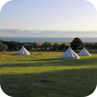 Three white tents in a field