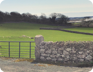 An iron gate with a rock wall