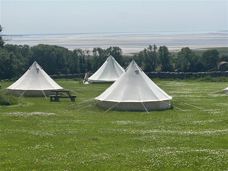 Frontal view of glamping tent with lights and bed at nightfall