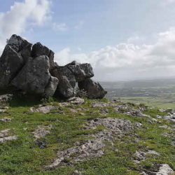 Warton Crag LOCAL Nature Reserve