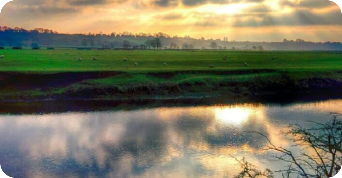 Field with a sunset and clear, still waters