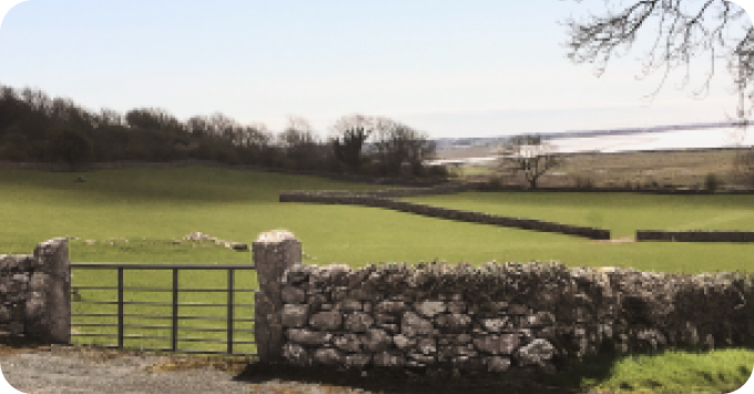 View of field with metal gate and rock fence