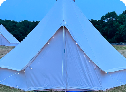 Three white tents in a field